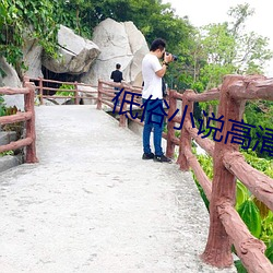 低俗小说高清