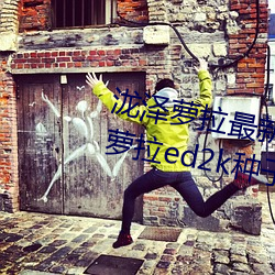 泷泽萝拉最新作品种子下载 泷泽萝拉ed2k种子网盘番号下载(