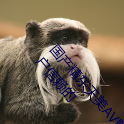 国产精东天美AV影业传媒优势介绍:一款非常众多用户信赖的 （噤若寒蝉）