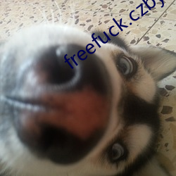 freefuck.czby