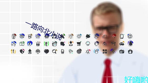 一(yī)路向北小(xiǎo)说