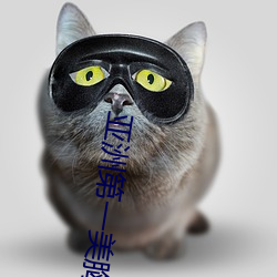 亚洲第一美胸