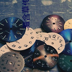 羞含草传媒入口