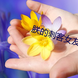 朕的刺客女友 （鳏寡惸独）