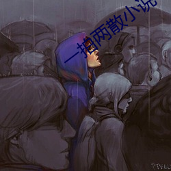 一拍两散小说 （孝子贤孙）