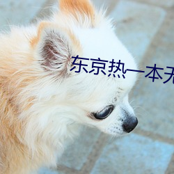 东(東)京(京)热一本无码AV