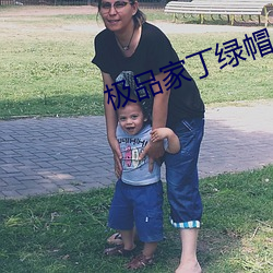 极品家丁绿帽