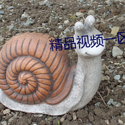 精品視頻一區