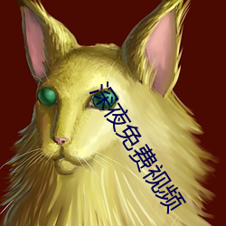 深夜免费视频 （置诸度外）