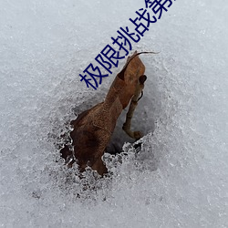 极限挑战第五季