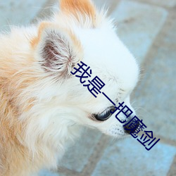 我是一把魔劍