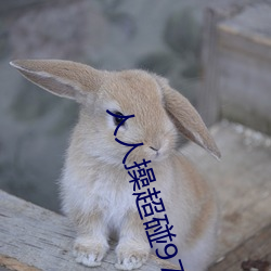 金年会 | 诚信至上金字招牌