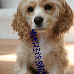蝌蚪在线播(bō)放
