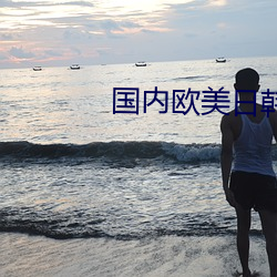 國內歐美日韓第一區