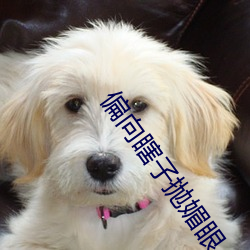 偏向(向)瞎子抛媚眼