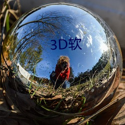 3D软