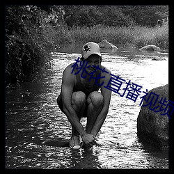 桃花直播视频下载观看
