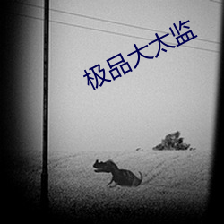 极品(pǐn)大太监