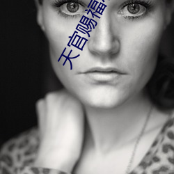 天官赐福小说全文免费阅读