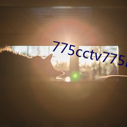 775cctv775btv775zztv