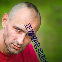 正青春电视剧免费观看全集