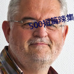 500短(duǎn)篇辣(là)集合(hé)文txt