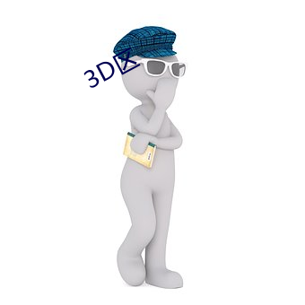 3D区