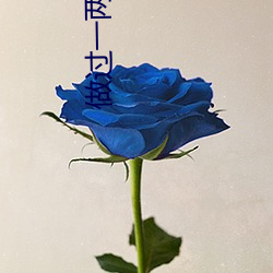 做過一兩次和處的區別