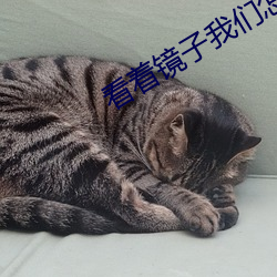 看著鏡子我們怎麽進去的圖