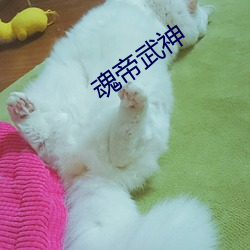 魂帝武神