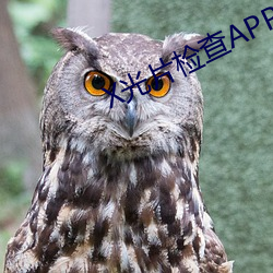 X光片(piàn)检(jiǎn)查(chá)APP下(xià)载