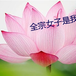 全(全)宗女子(子)是我的(的)炉鼎