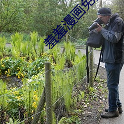 pg电子游戏试玩(中国游)官方网站