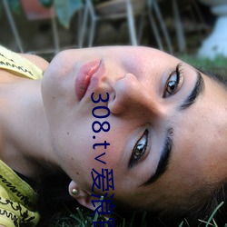 308.t∨爱浪官网