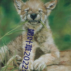 嫩(nèn)叶草2022年(nián)全(quán)新地址
