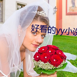 好看的yy小说