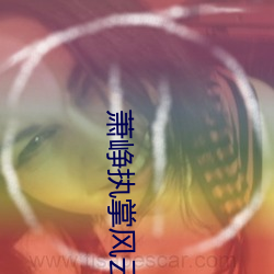 萧峥执掌风云免费阅读全文