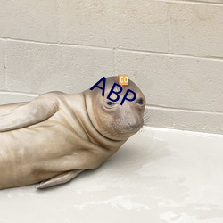 ABP