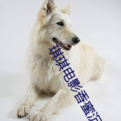 琪琪电影香蜜沉沉烬如霜