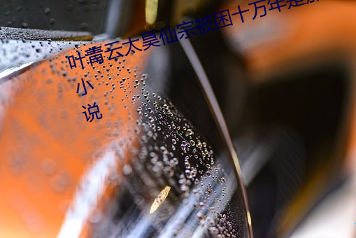 葉青雲太昊仙宗被困十萬年是那部小說