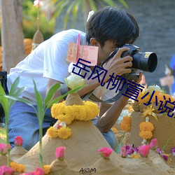 岳风柳萱小说全文免费阅(yuè)读