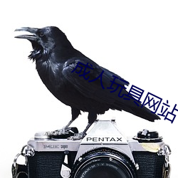 成(成)人(人)玩具网站