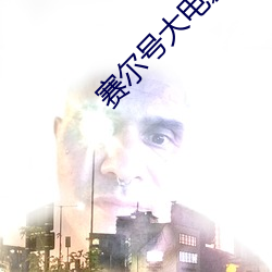 赛尔号大电影雷伊和动漫雷伊 （惬心贵当）