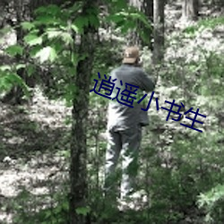 逍遥小书生