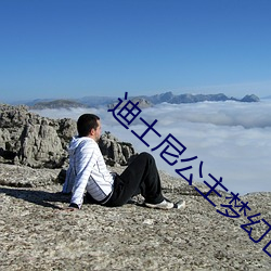 迪士尼公主梦幻世界第一季 （狗偷鼠窃）