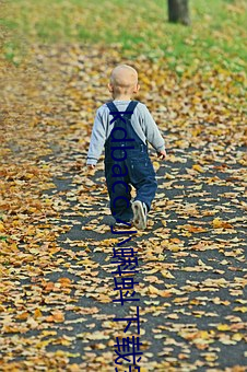 kdbacc.小蝌蚪下载安装 （和平共处五项原则）