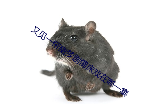 又见一帘幽梦剧情床戏在哪一集