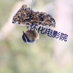 怀化电影院