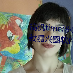 搞机time恶心直接打开的不用下载嘉兴圈软件v2.1.8 （乖巧）
