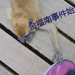 金福南事件始末电影详解